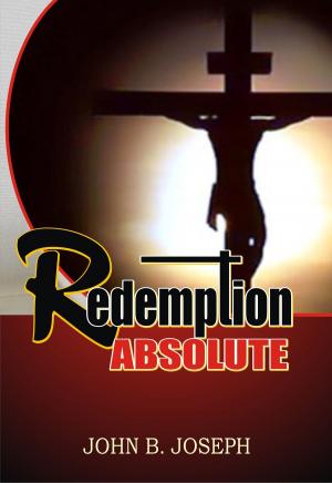 Book cover of Redemption Absolute