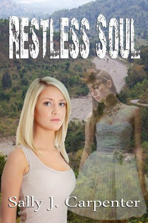 Cover of the book Restless Soul by Roohi Shah
