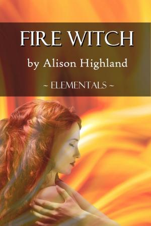 Book cover of Fire Witch