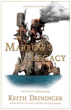 Book cover of Marrow's Legacy
