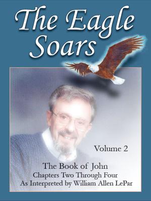 Book cover of The Eagle Soars: Volume 2; The Book of John, Chapters 2-4