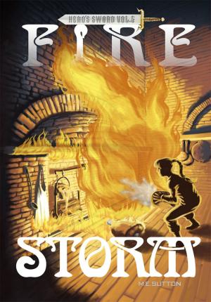 bigCover of the book Fire Storm by 