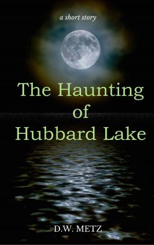 Book cover of The Haunting of Hubbard Lake