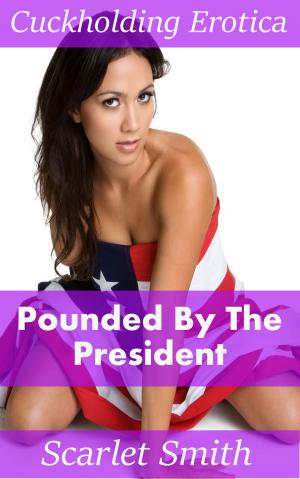 Book cover of Pounded By The President