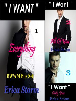 Cover of the book I Want: Everything BWWM Box Set by ToeGirl