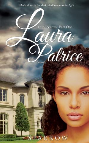 Cover of the book Laura Patrice: Dark Secrets- Part One; Novella by Mike Wolfe