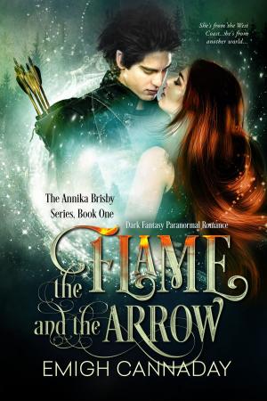 Cover of the book The Flame and the Arrow by B. A. Binns