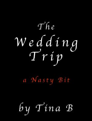 Cover of the book The Wedding Trip by Freyja Simone