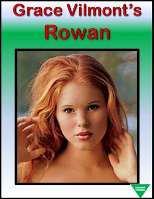 Cover of the book Rowan by Elliot Silvestri, Grace Vilmont
