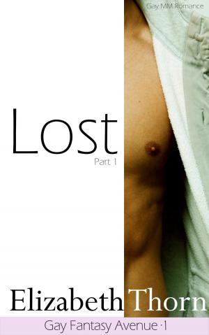 Book cover of Lost 1 Gay Fantasy Avenue #1