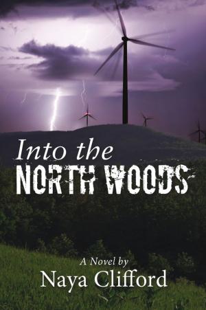 Cover of the book Into the North Woods by Lisa M Tozier- Rowe