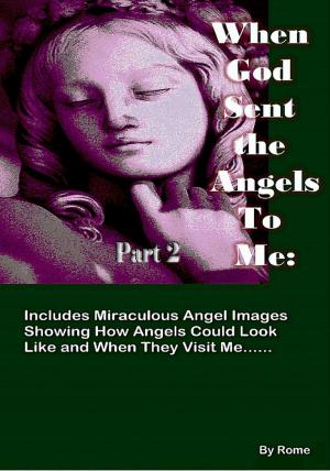 Cover of the book When God Sent the Angels to Me Part 2 by Rogo Spanderai