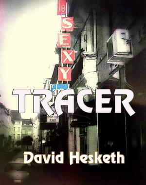 Cover of the book Tracer by Patrick Quinlan