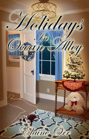 Book cover of Holidays in Ocean Alley