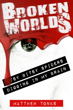 Cover of the book Broken Worlds: Vol 04 - Itsy Bitsy Spiders Digging In My Brain by AM Kirkby