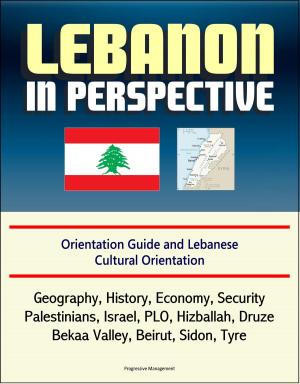 Cover of the book Lebanon in Perspective: Orientation Guide and Lebanese Cultural Orientation: Geography, History, Economy, Security, Palestinians, Israel, PLO, Hizballah, Druze, Bekaa Valley, Beirut, Sidon, Tyre by Progressive Management