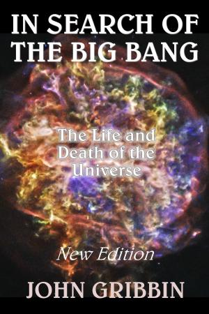 Cover of the book In Search of the Big Bang by Sean McMullen