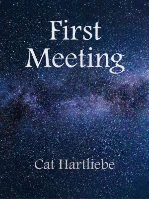 Book cover of First Meeting
