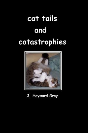 Cover of the book Cat Tails and Catastrophes by Antonio Garcez