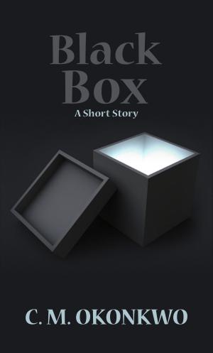Cover of the book Black Box by Theo Cage