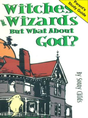 Book cover of Witches and Wizards But What About God?