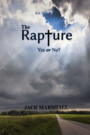 Book cover of The Rapture: Yes or No?