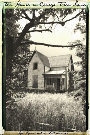 Cover of the book The House on Cherry Tree Lane by L. E. Praeger