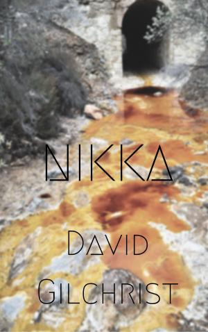 bigCover of the book Nikka by 