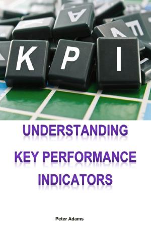 bigCover of the book Understanding Key Performance Indicators by 