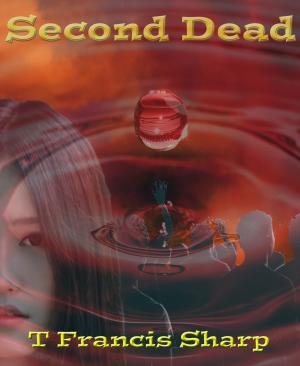 Cover of the book Second Dead by Doug Brunell
