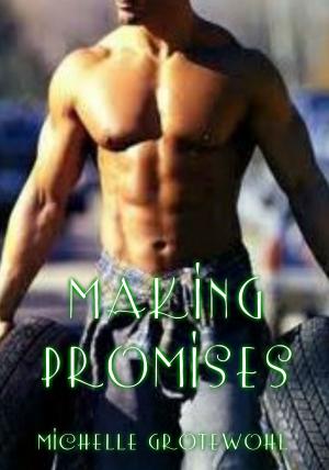 Cover of the book Making Promises by Connie Furnari