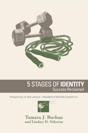 Cover of the book 5 Stages of Identity: Success Reclaimed by Josh Wood