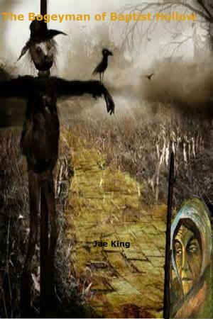 Cover of the book The Bogeyman of Baptist Hollow by Matt Lynn