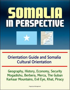 Cover of the book Somalia in Perspective: Orientation Guide and Somali Cultural Orientation: Geography, History, Economy, Security, Mogadishu, Berbera, Merca, The Guban, Karkaar Mountains, Evil Eye, Khat, Piracy by Progressive Management