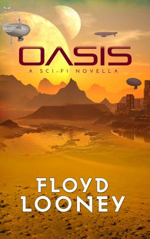 Cover of the book Oasis by Jerry Hanel