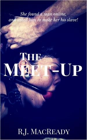 Cover of the book The Meet-Up by Rebeckah Markham