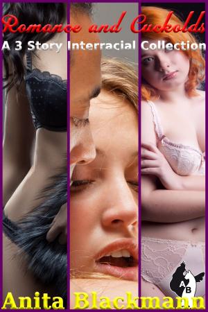 Book cover of Romance and Cuckolds: 3 Interracial Story Bundle