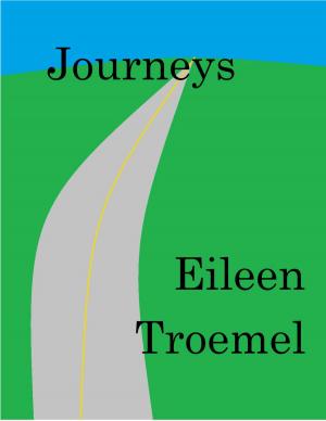 Cover of the book Journeys by Eileen Troemel