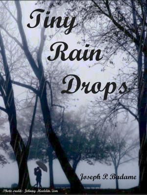 Book cover of Tiny Rain Drops