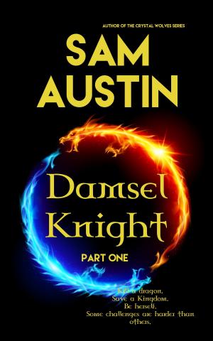 Cover of the book Damsel Knight: Part One by C. Greenwood