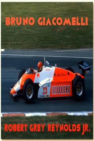 bigCover of the book Bruno Giacomelli by 