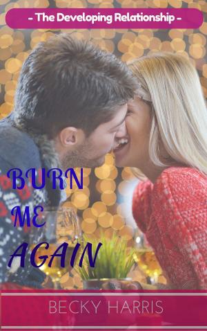 Cover of Burn Me Again: the Developing Relationship