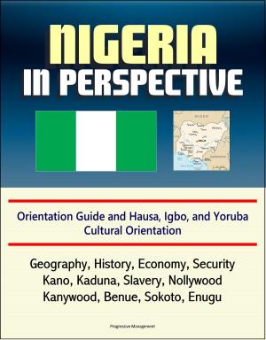 Cover of the book Nigeria in Perspective: Orientation Guide and Hausa, Igbo, and Yoruba Cultural Orientation: Geography, History, Economy, Security, Kano, Kaduna, Slavery, Nollywood, Kanywood, Benue, Sokoto, Enugu by Progressive Management