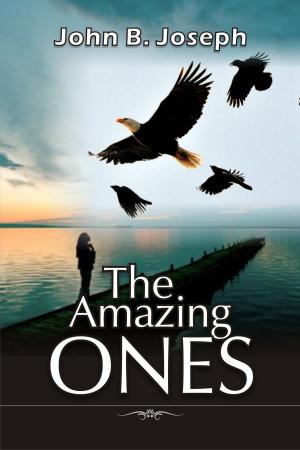 Book cover of The Amazing Ones