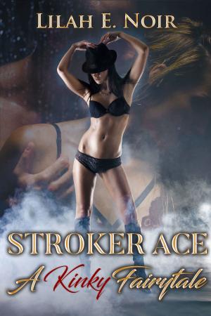 Cover of the book Stroker Ace by Alphonse Daudet