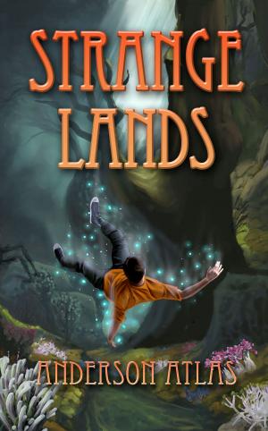 Cover of the book Strange Lands by V. Romas Burton