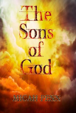 bigCover of the book The Sons of God by 