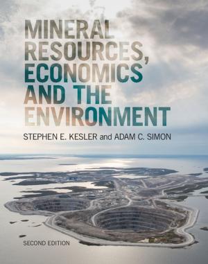 Cover of the book Mineral Resources, Economics and the Environment by Richard P. Stanley