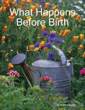 bigCover of the book What Happens Before Birth by 