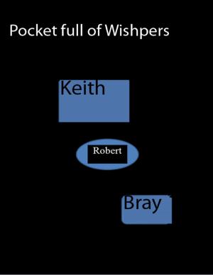 Cover of the book Pocket Full of Whispers by Alan Coghlan